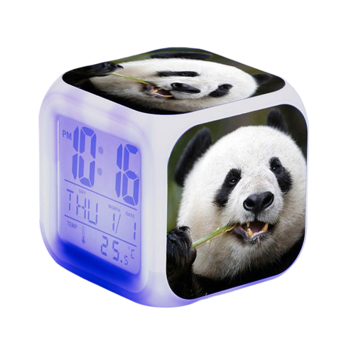 Mon radio réveil  0 Radio réveil panda