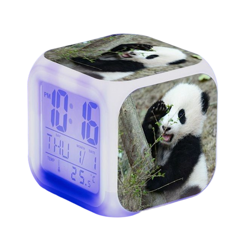 Mon radio réveil  Réveil panda enfant