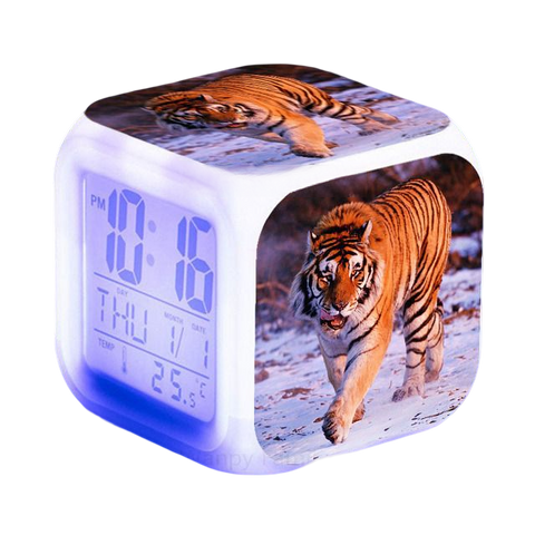 Réveil tigre 
